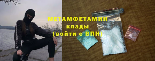 индика Калининец