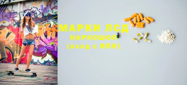 индика Калининец