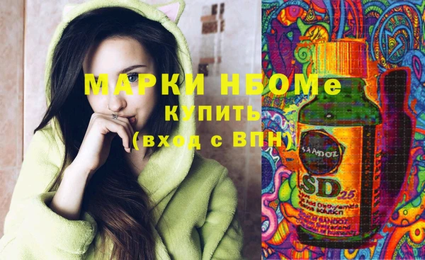 индика Калининец