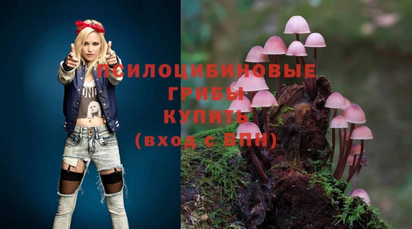 трава Иноземцево