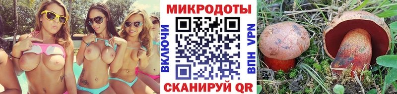 Галлюциногенные грибы MAGIC MUSHROOMS  MEGA онион  Апшеронск 